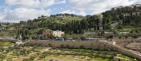 Gethsemane - Basilica of the Agony | Custodia Terrae Sanctae