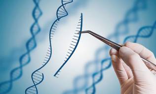 Genome Editing: Die Zukunft der Gentechnik